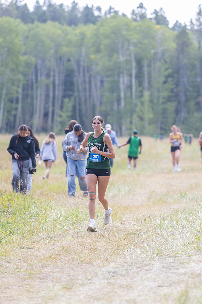 %_tempFileName1M6A8773%