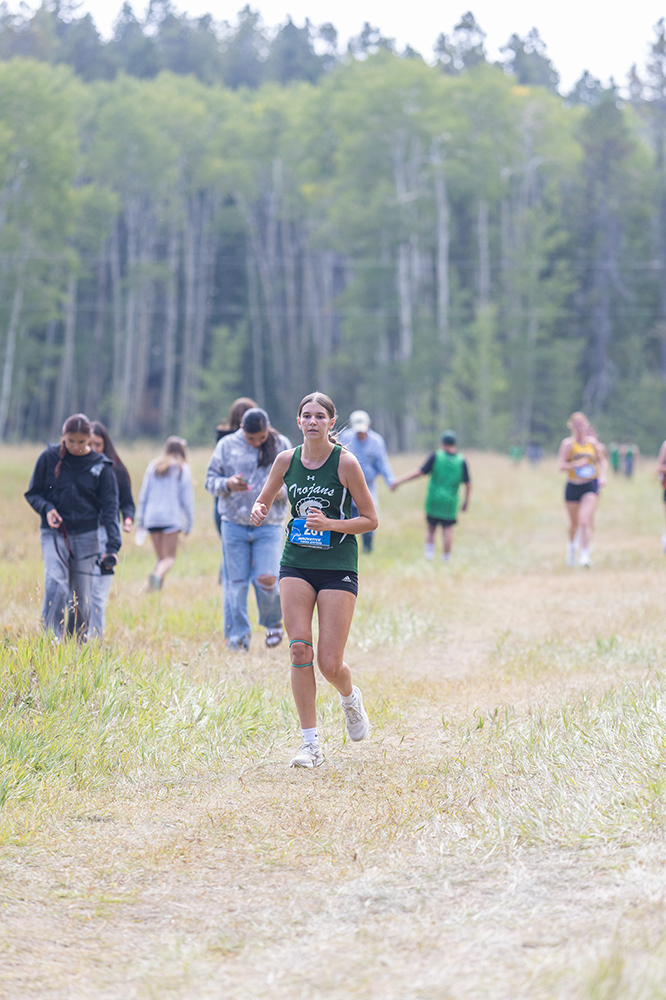 %_tempFileName1M6A8774%