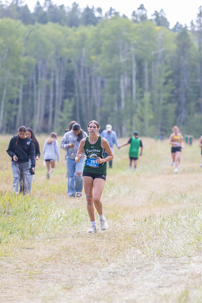 %_tempFileName1M6A8775%