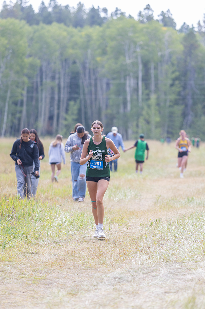 %_tempFileName1M6A8776%