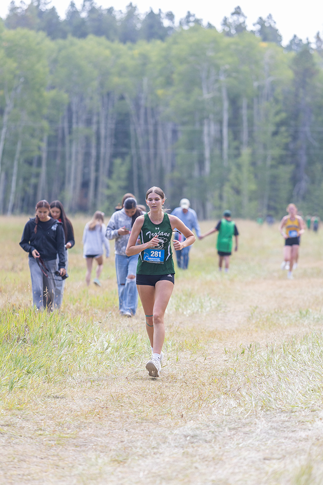 %_tempFileName1M6A8777%