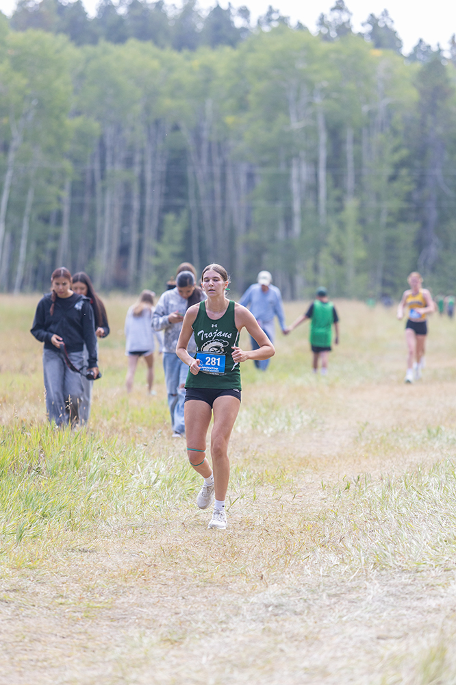 %_tempFileName1M6A8779%