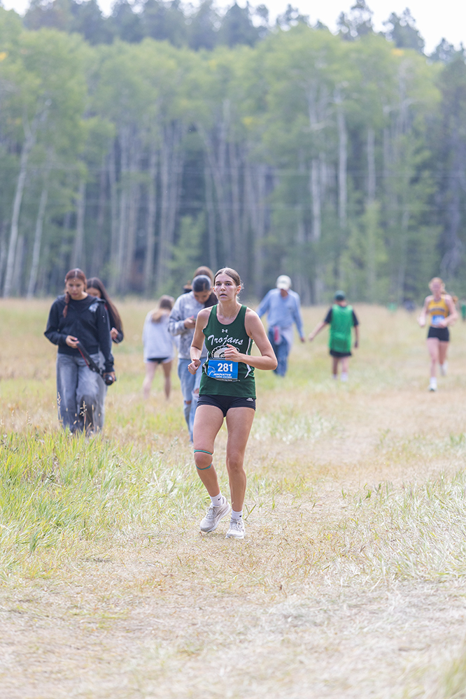 %_tempFileName1M6A8780%