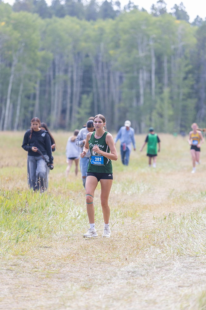 %_tempFileName1M6A8781%