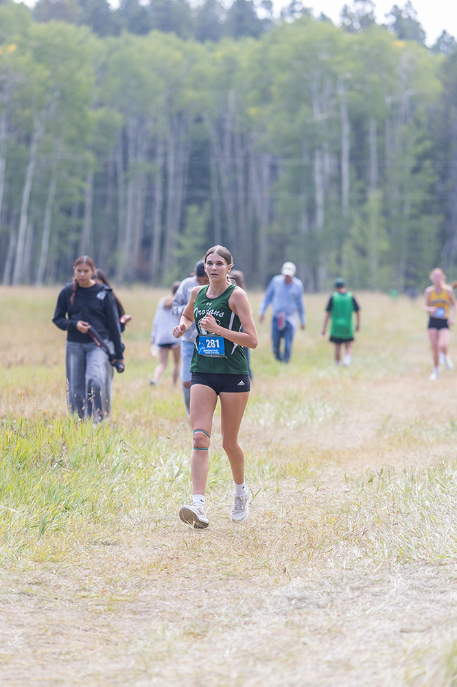 %_tempFileName1M6A8782%