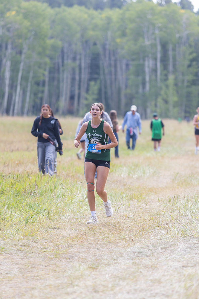 %_tempFileName1M6A8784%