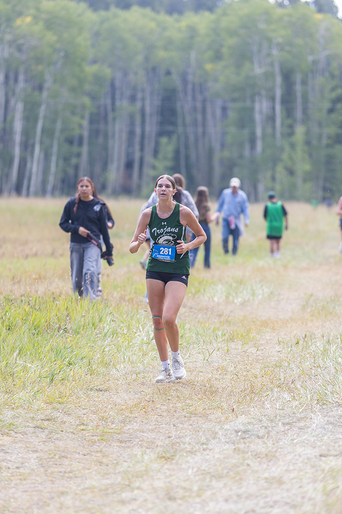 %_tempFileName1M6A8785%