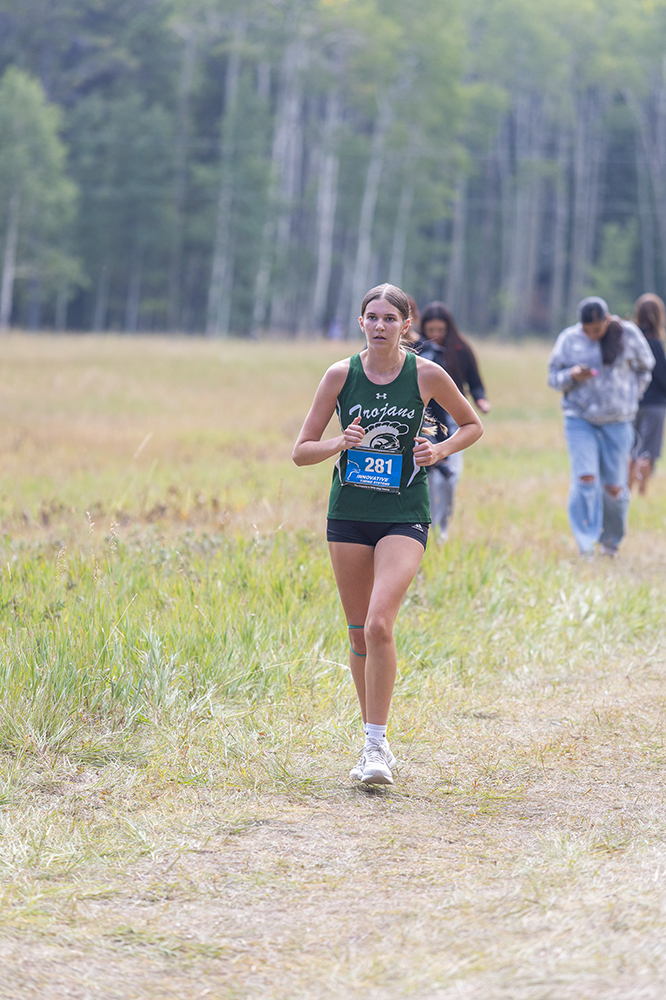 %_tempFileName1M6A8799%