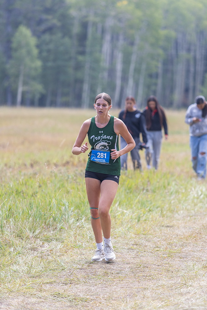 %_tempFileName1M6A8803%