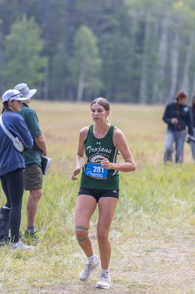 %_tempFileName1M6A8817%