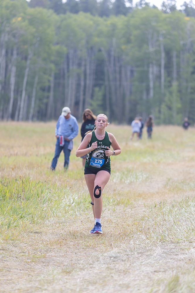 %_tempFileName1M6A8869%