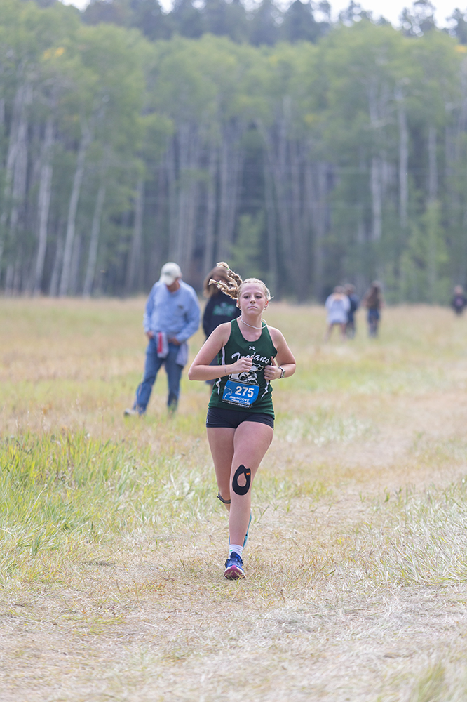 %_tempFileName1M6A8871%