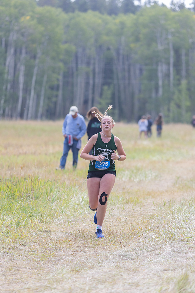 %_tempFileName1M6A8872%