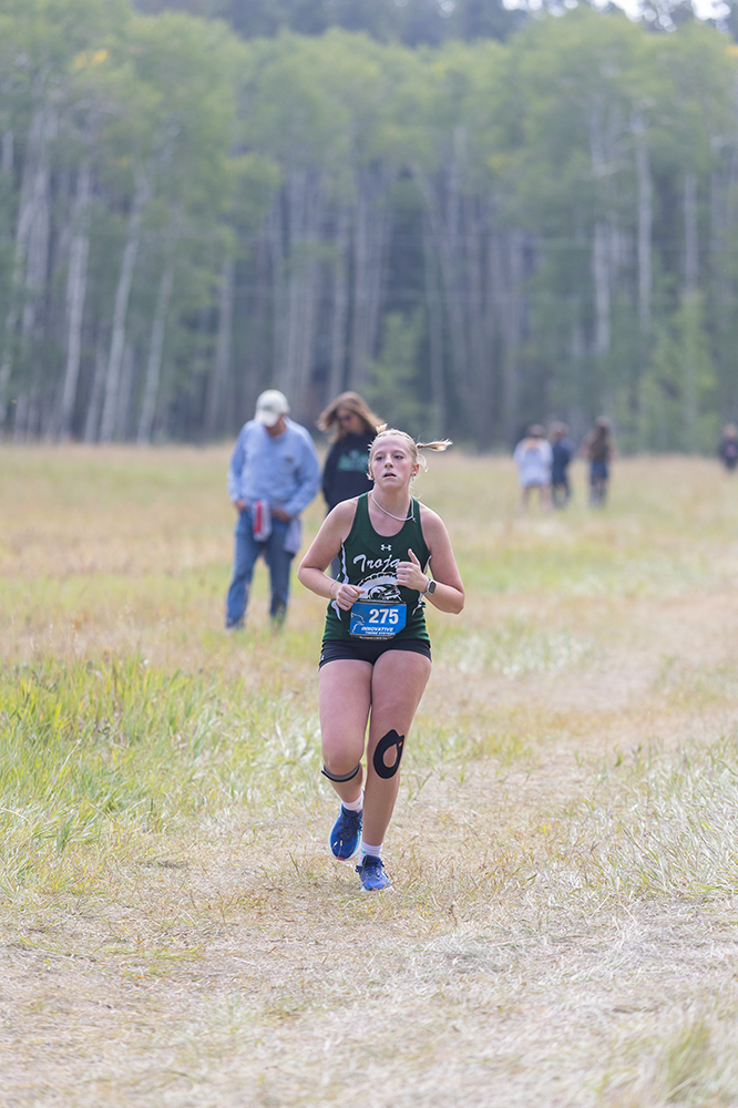 %_tempFileName1M6A8873%