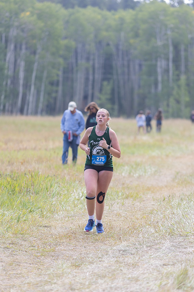 %_tempFileName1M6A8874%