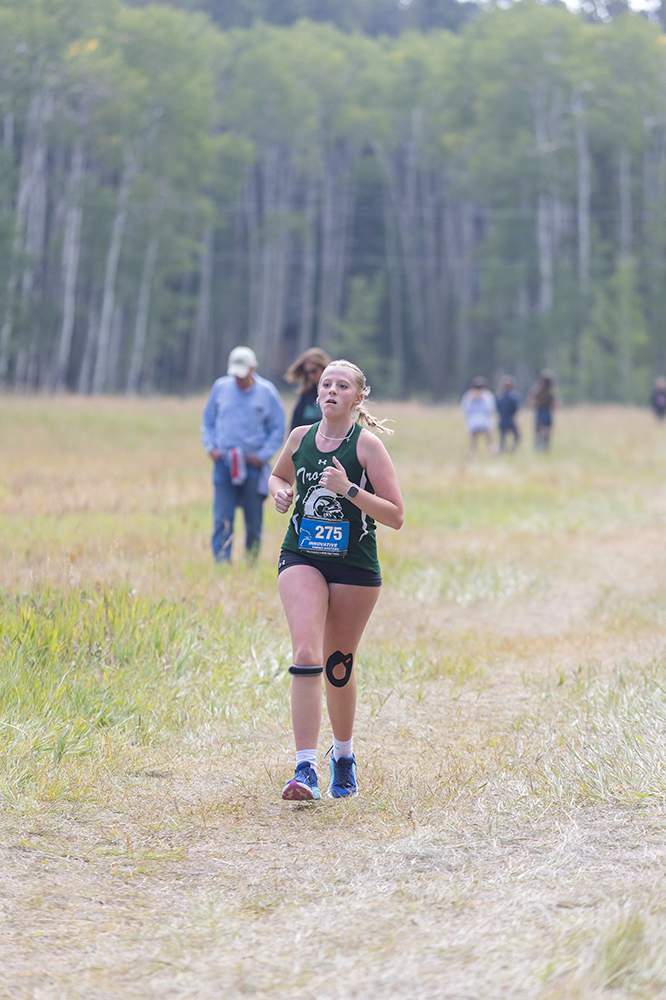 %_tempFileName1M6A8875%