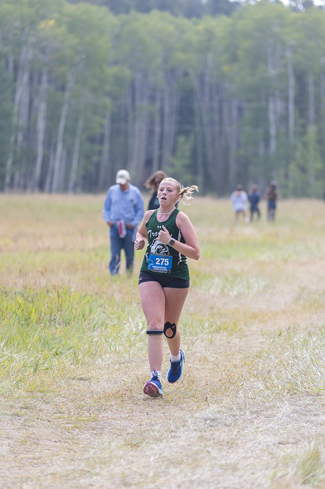 %_tempFileName1M6A8876%