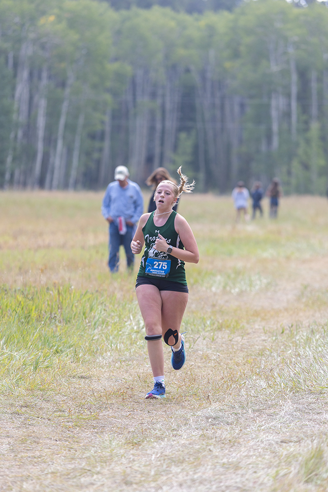 %_tempFileName1M6A8877%