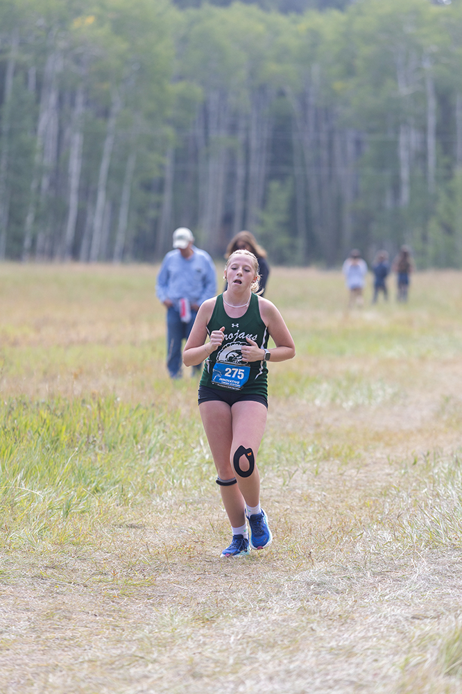 %_tempFileName1M6A8879%