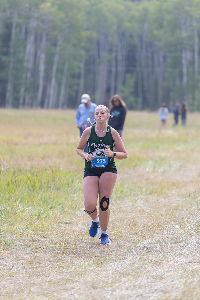 %_tempFileName1M6A8884%