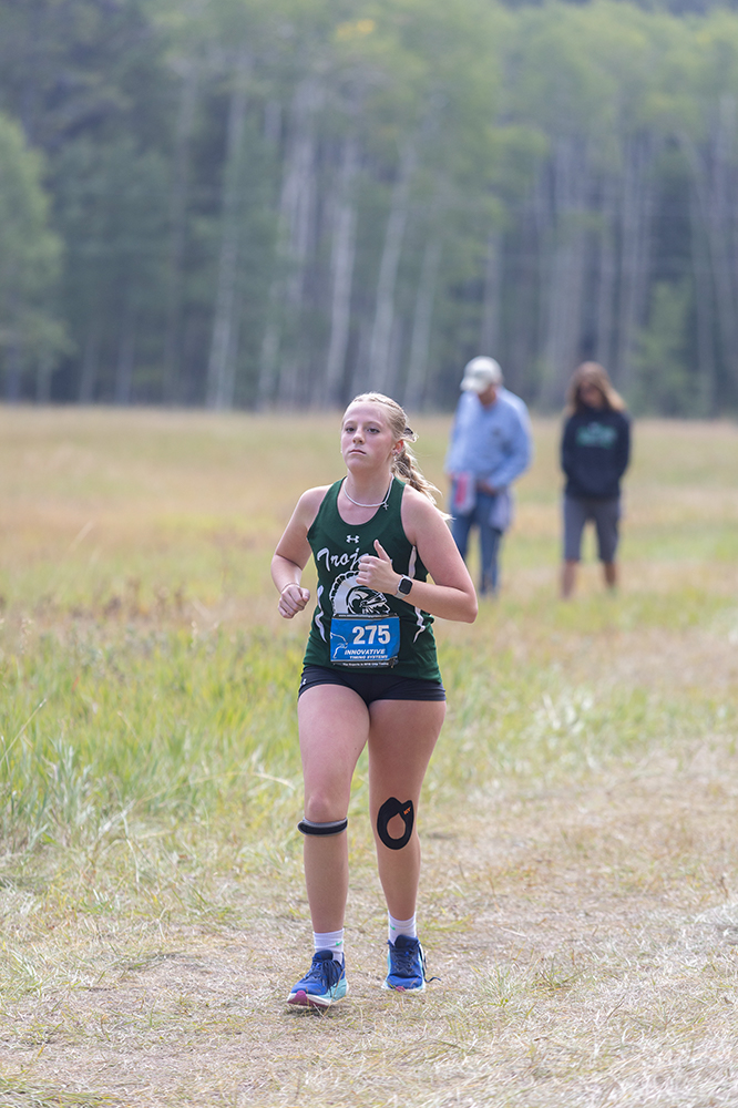 %_tempFileName1M6A8890%