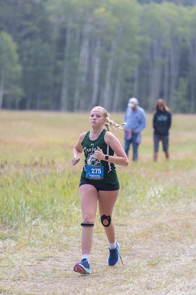 %_tempFileName1M6A8891%