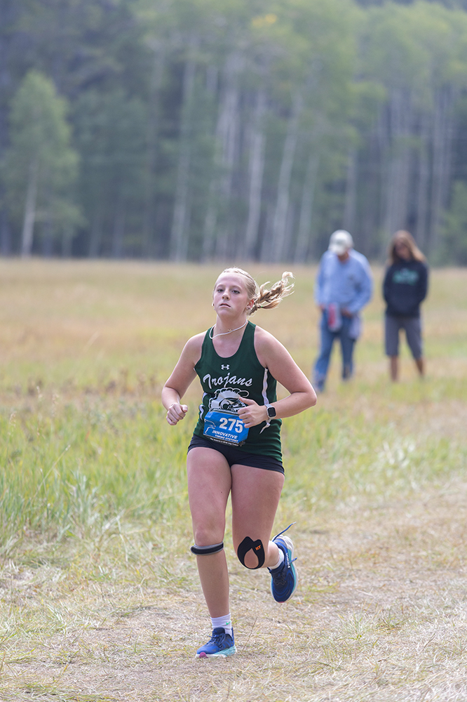 %_tempFileName1M6A8893%