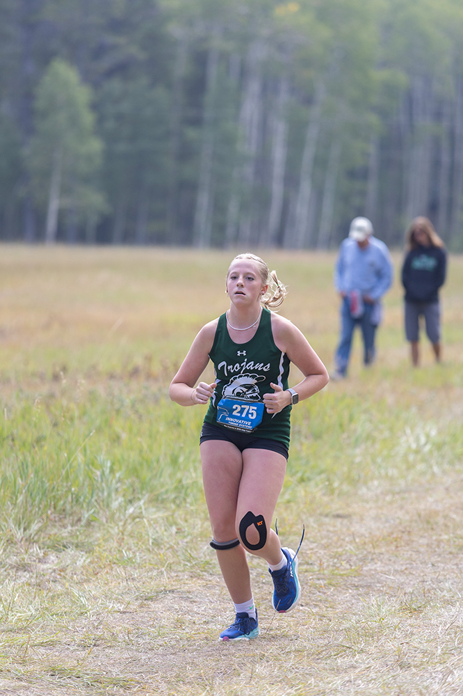 %_tempFileName1M6A8894%