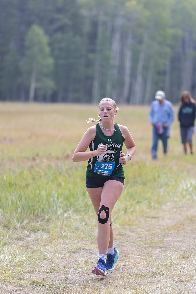 %_tempFileName1M6A8896%