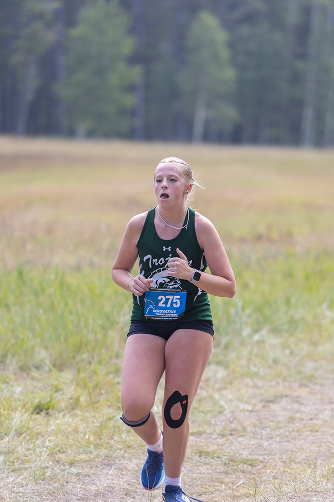 %_tempFileName1M6A8901%