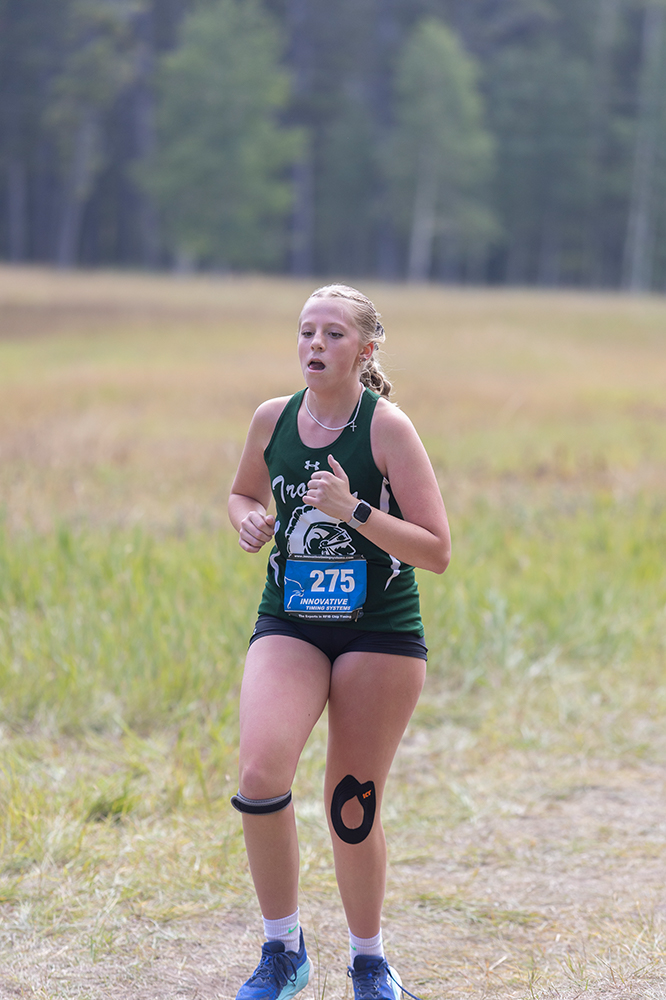 %_tempFileName1M6A8902%