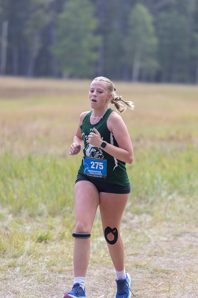 %_tempFileName1M6A8903%