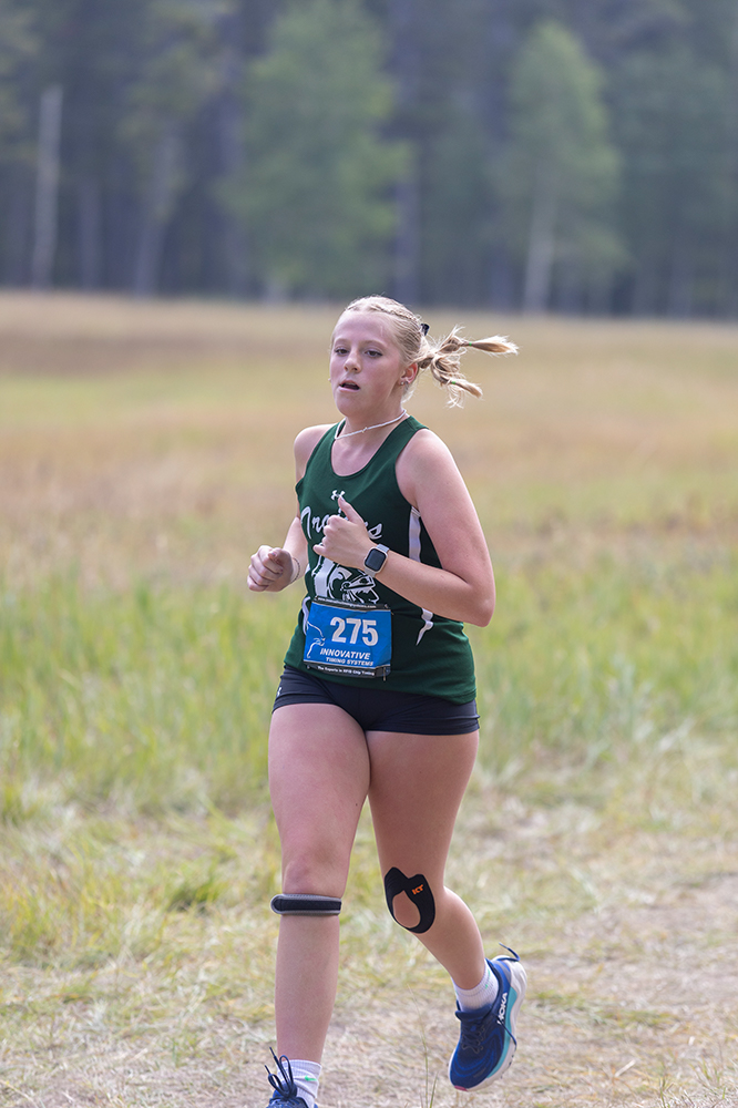 %_tempFileName1M6A8904%