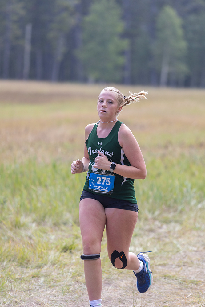 %_tempFileName1M6A8905%