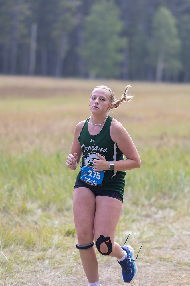 %_tempFileName1M6A8906%