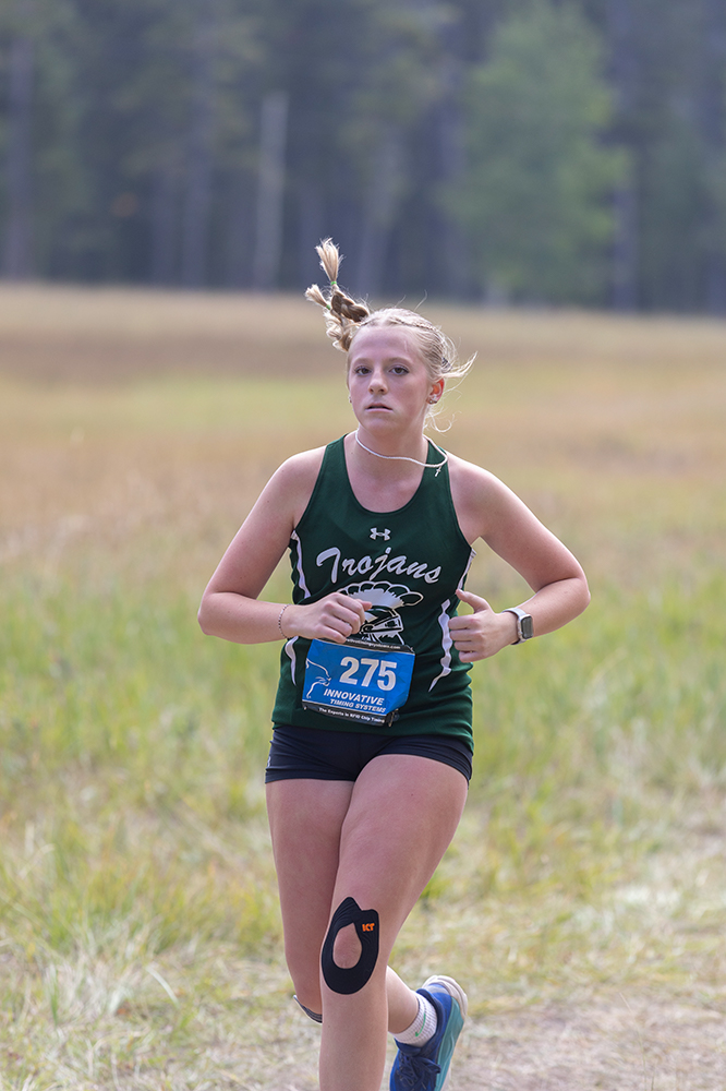 %_tempFileName1M6A8908%