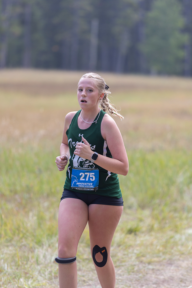 %_tempFileName1M6A8911%