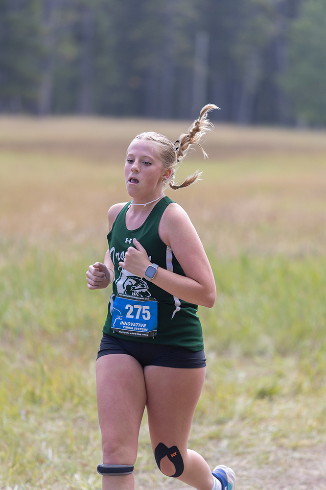 %_tempFileName1M6A8913%