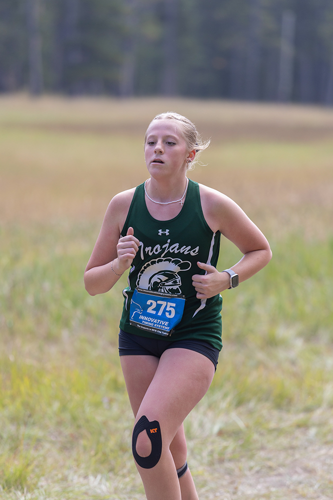 %_tempFileName1M6A8916%