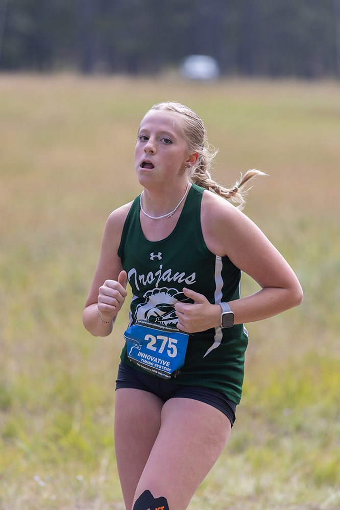 %_tempFileName1M6A8926%