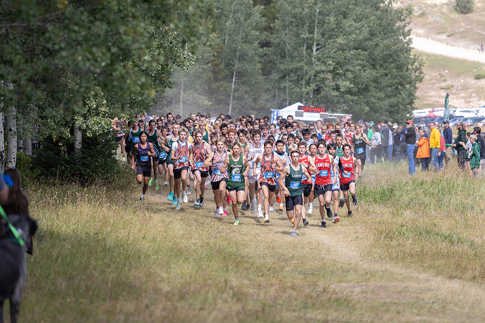 %_tempFileName1M6A8931%