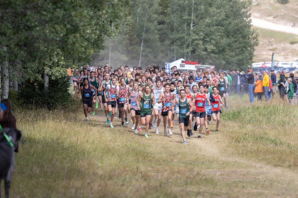 %_tempFileName1M6A8935%