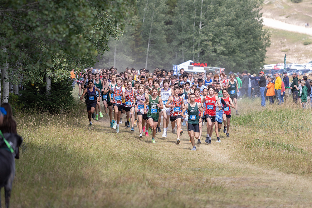 %_tempFileName1M6A8936%