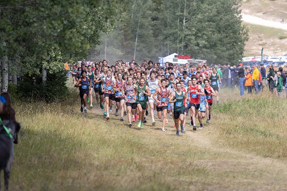 %_tempFileName1M6A8937%