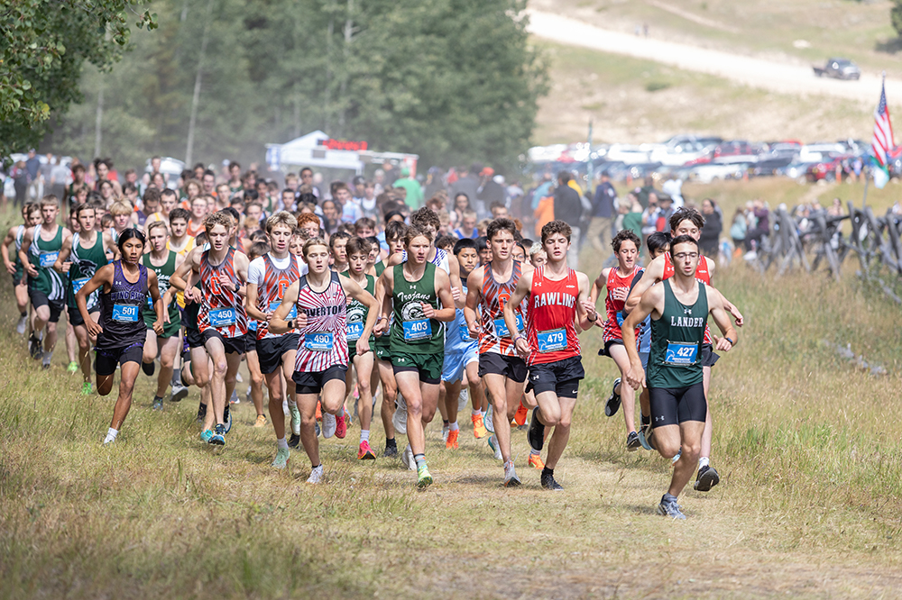 %_tempFileName1M6A8942%