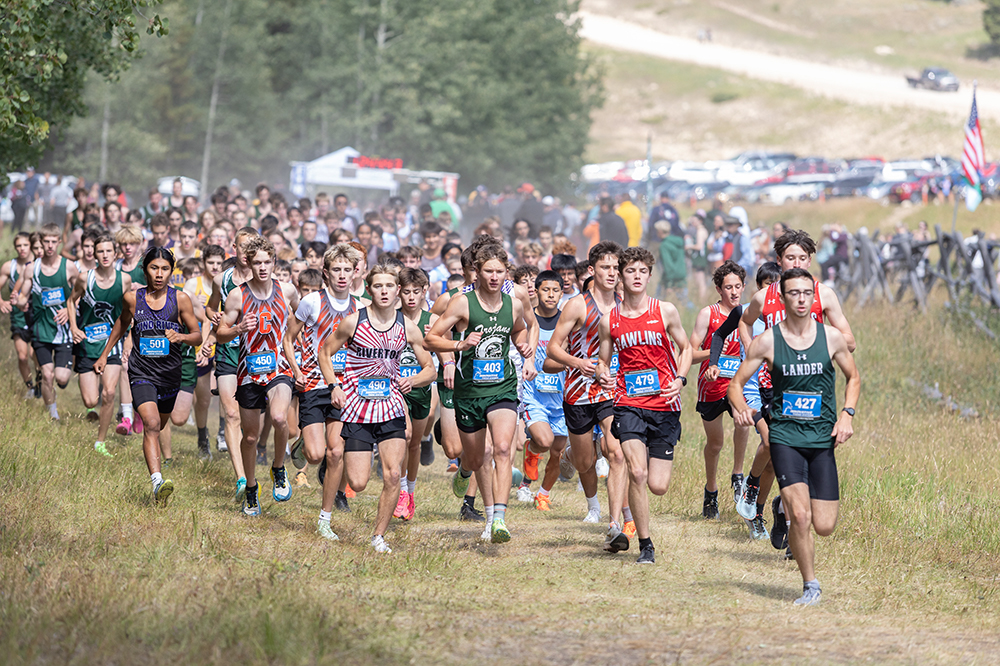 %_tempFileName1M6A8946%