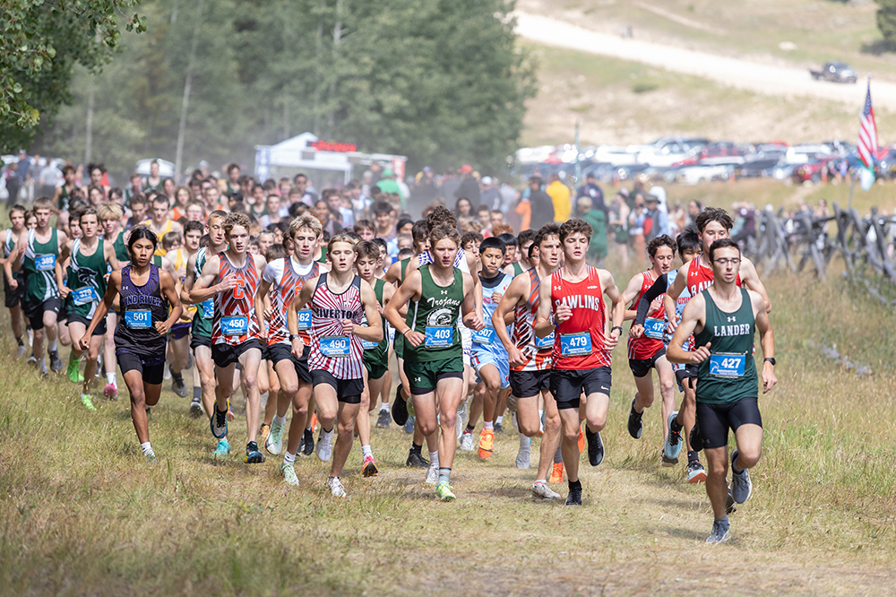 %_tempFileName1M6A8947%