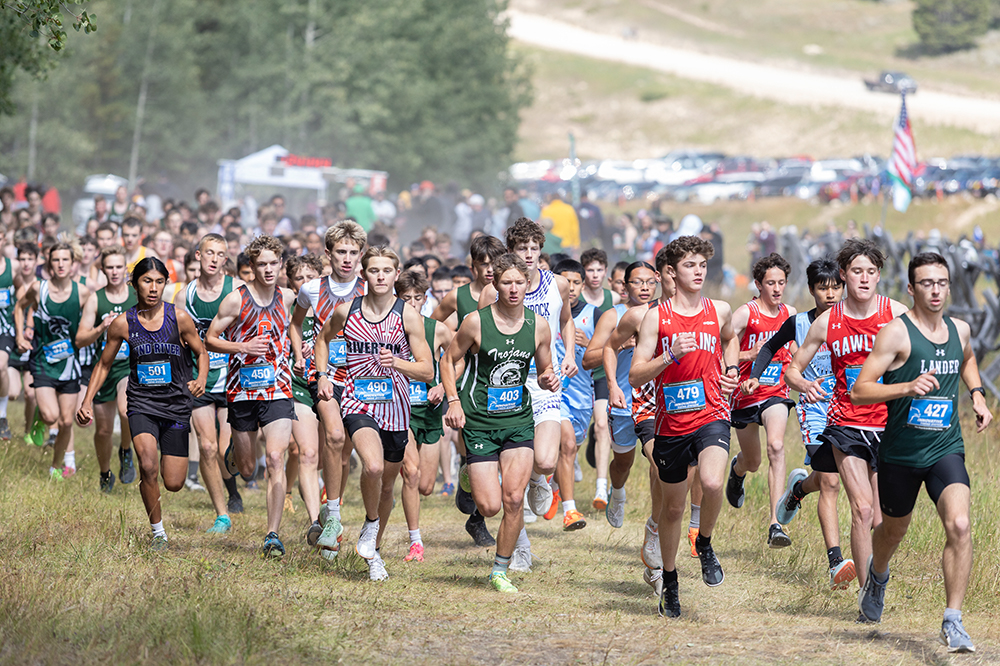 %_tempFileName1M6A8949%