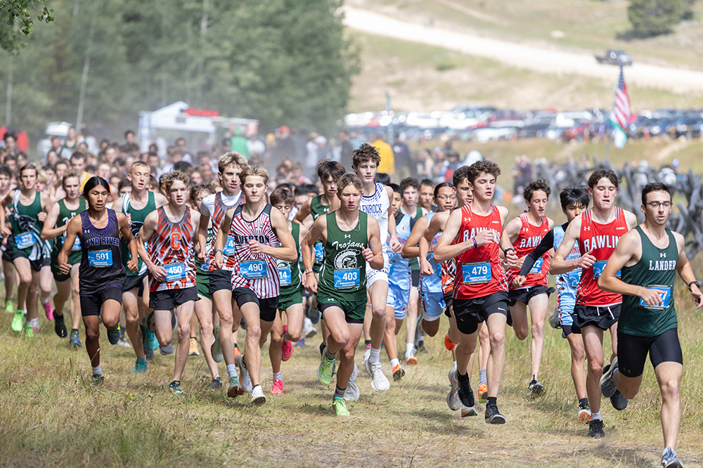 %_tempFileName1M6A8950%