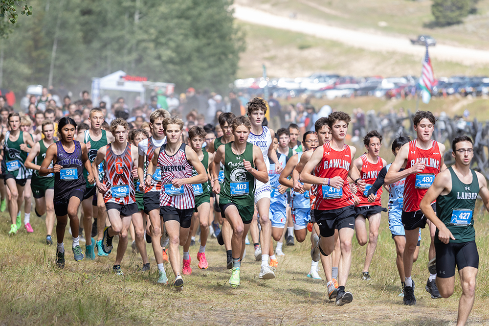 %_tempFileName1M6A8951%